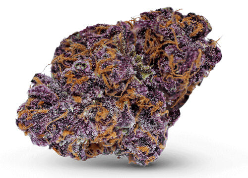 Exotic Flower